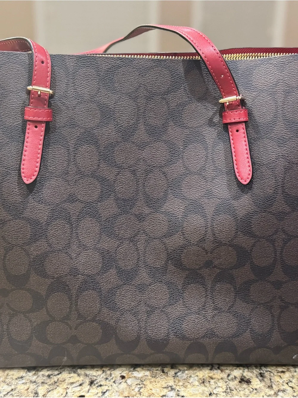 Coach City Zip Tote Signature Canvas Brown Red Leather Gold Hardware F58292 - Picture 4 of 11